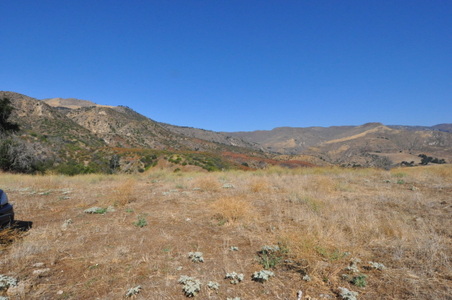 Enlarge photo 58