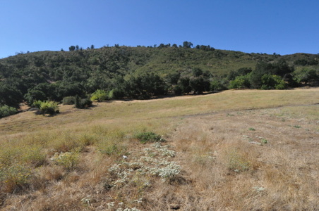Enlarge photo 59
