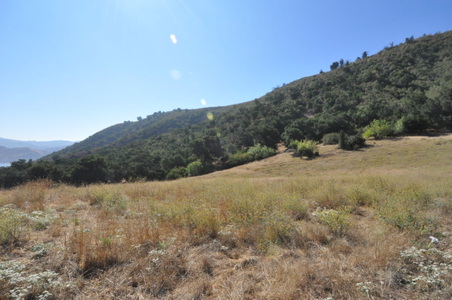 Enlarge photo 60