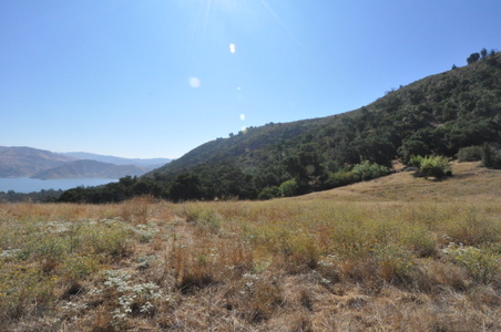Enlarge photo 61