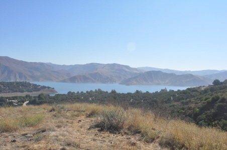 Enlarge photo 63
