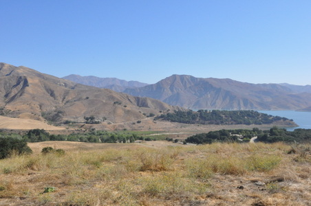 Enlarge photo 64