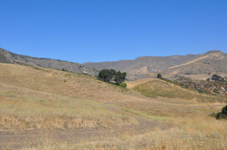 Enlarge photo 66