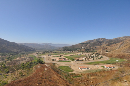 Enlarge photo 140