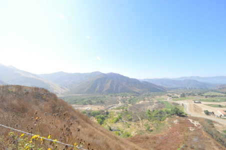 Enlarge photo 142