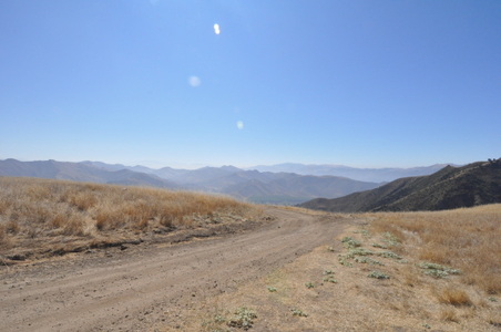 Enlarge photo 67