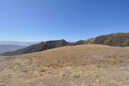 Enlarge photo 68