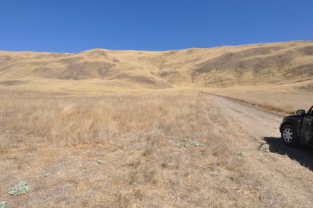 Enlarge photo 71