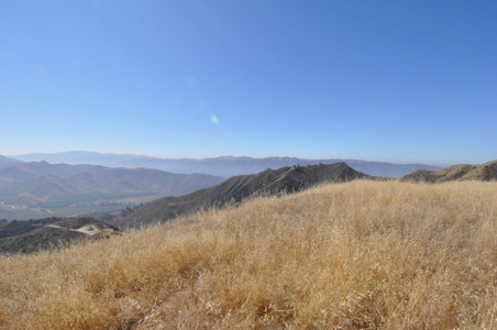 Enlarge photo 75