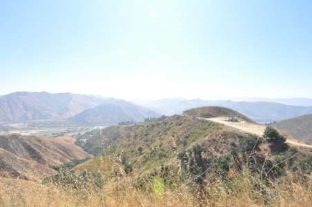 Enlarge photo 77