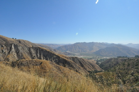Enlarge photo 78