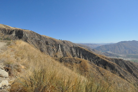 Enlarge photo 79