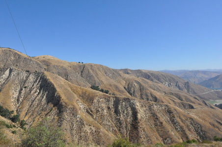 Enlarge photo 85
