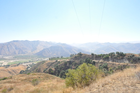 Enlarge photo 86