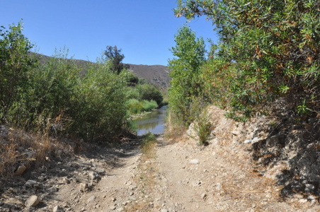 Enlarge photo 87