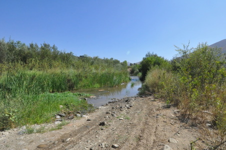 Enlarge photo 88