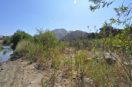 Enlarge photo 89