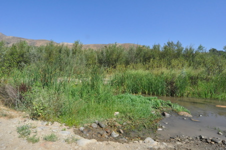 Enlarge photo 90