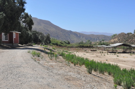 Enlarge photo 92