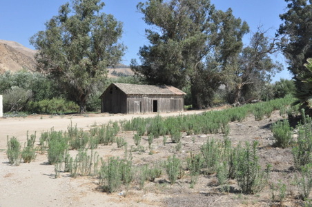 Enlarge photo 19
