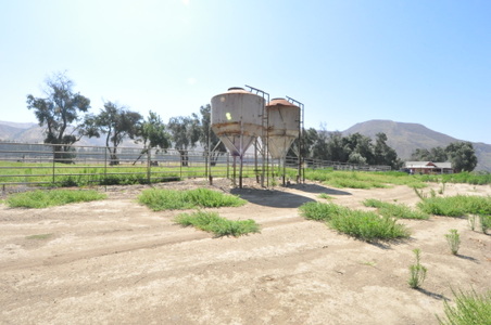 Enlarge photo 93