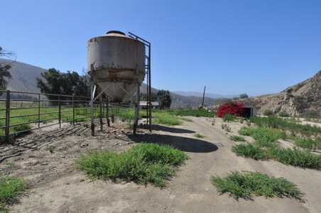 Enlarge photo 95