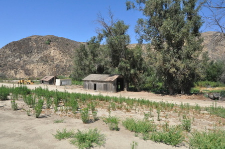 Enlarge photo 23