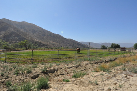 Enlarge photo 54