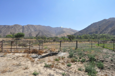 Enlarge photo 96
