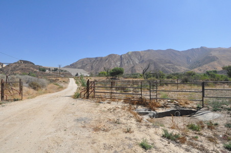 Enlarge photo 97