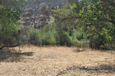 Enlarge photo 102