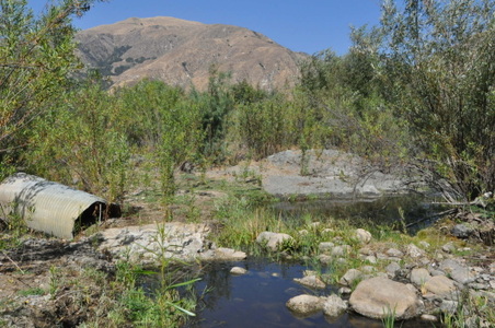Enlarge photo 103