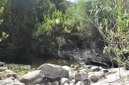 Enlarge photo 104