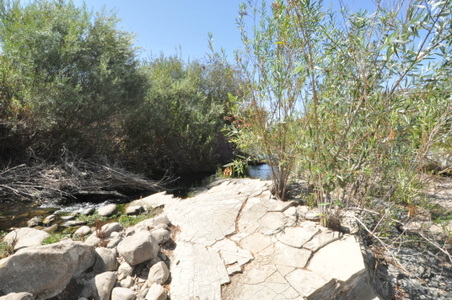 Enlarge photo 105