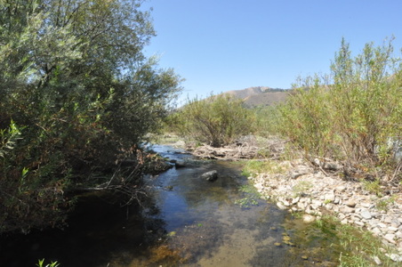 Enlarge photo 106