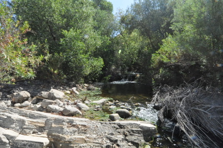 Enlarge photo 107