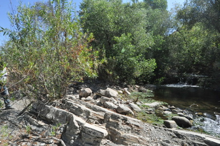 Enlarge photo 108