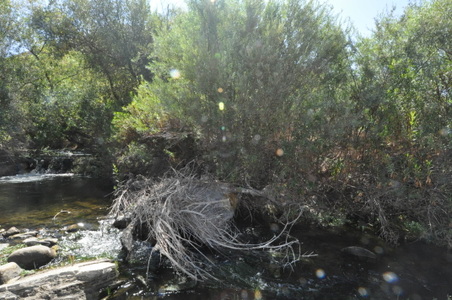 Enlarge photo 109
