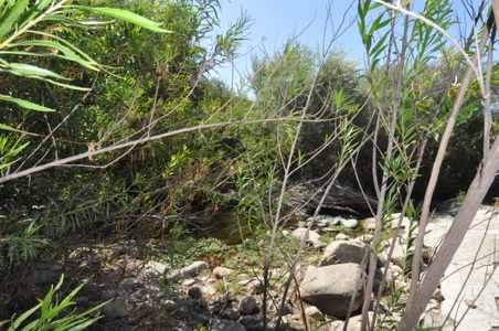 Enlarge photo 110