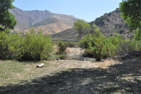 Enlarge photo 111
