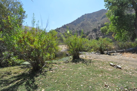 Enlarge photo 112