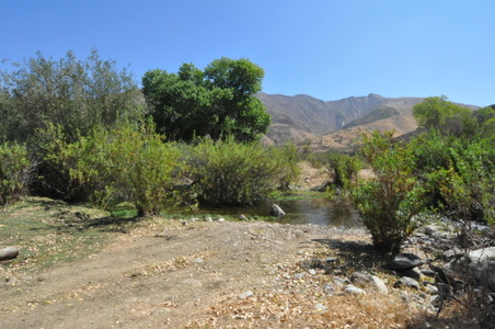 Enlarge photo 113