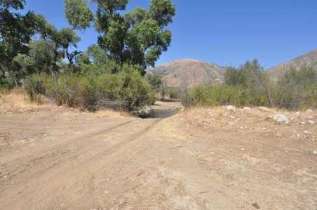 Enlarge photo 114