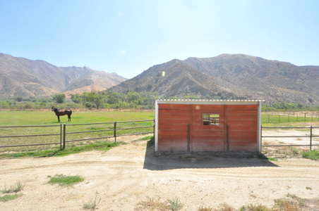 Enlarge photo 116