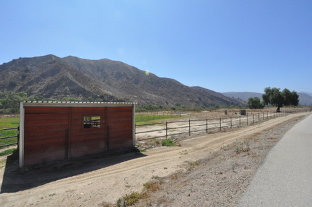 Enlarge photo 117