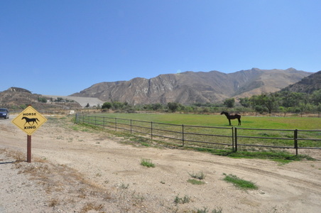 Enlarge photo 118
