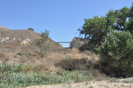 Enlarge photo 119