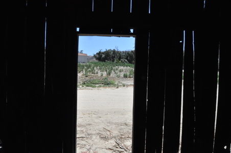 Enlarge photo 11