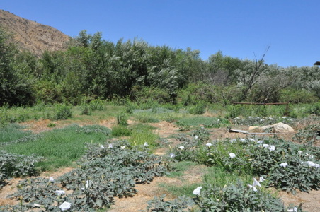 Enlarge photo 24