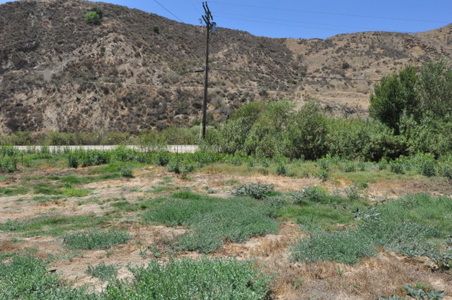 Enlarge photo 25